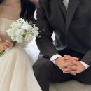 피터리스튜디오