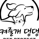 댕댕스파 이미지