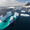 Little Bear Big Trip 이미지