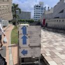 토마린 | 오키나와 자마미섬 가는법 &amp;페리 예약 꿀팁 대공개