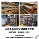 고든스포츠야구광의시