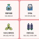 카몽 | 강아지 쓰기 편한 워터리스 발샴푸 추천 카몽카몽 솔직후기
