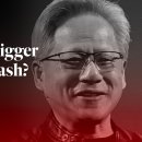 Nvidia is funding an AI boom. Will it trigger a financial crash? | The Eco 이미지