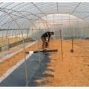 덕재농장 이미지