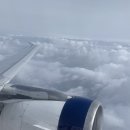 다케야 | 여자 혼자떠난 도쿄여행🗼day1 (예술과 런닝이 어우러진 테마여행)