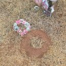 UR-[신흥로]-상-52 | 2025년 12월 3주 ㅣ 연말 네일, 오뎅바, 매직, 수다 ☕️