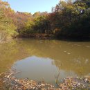 오미2동 이미지