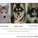 여주-0909 이미지