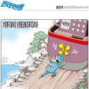 (2008.09.05)신문 만평 종합 이미지