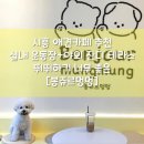 시흥 애견카페:: 야외테라스와 실내운동장에 뛰뛰하러 놀러가자~! “봉쥬르멍멍”