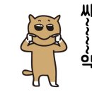 달래캐터리 이미지