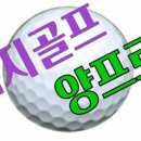 에이스골프스쿨 이미지