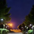 이마트24태안몽산포중앙점 | 안면도애견동반펜션추천 몽산포에서 힐링하고 왔어요