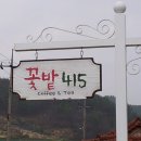 꽃밭415 이미지