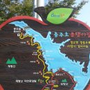 충주호 종댕이 이미지