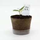 팜팜농장 이미지