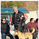 비상초등학교 이미지