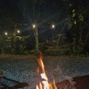 담터오지캠핑장 이미지