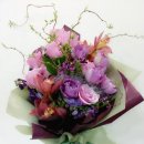 후리지아 이미지