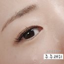 ○일산구청-한국통신 | [주주래쉬] 눈시림 없고 유지력 좋은 화정 속눈썹 연장 재방문 후기 타샵 제거비용 무료
