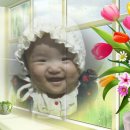 아기천사 이미지