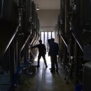 트레비어 이미지