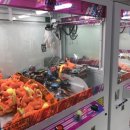 인형뽑기방 안양놀이터 이미지