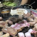 조은 꼬기 이미지