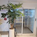 통정8로 이미지