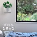 씨유제주서부중앙점 | 제주 겨울 크리스마스 분위기 감성숙소, 심플토산