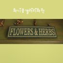 화니화원