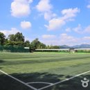 내손족구장 이미지