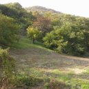 가족농장 이미지