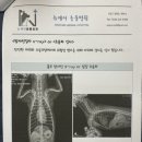 뉴케어 동물병원 이미지