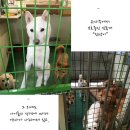 유기스튜디오 이미지
