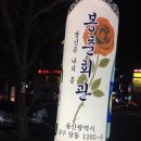 울산 삼산 달동 새로 생긴 술집 봉춘 회관 방문 후기