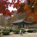 강천산(대구) 이미지