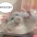 비:밀