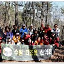 수원-0494 Daum카페