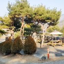 삼년산성송어장 이미지