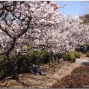 김해건설공업고등학교 이미지