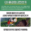 [픽글 서포터즈 3기] ✏️ 일주일에 한 권! 내 입맛에 딱 맞는 글쓰기 학습지 이용 후기