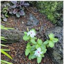 이음펜션 이미지