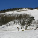 대관령목장 이미지