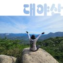 용소폭포 구름다리민박 | 경북 문경 대야산(용추-월영대-밀재-정상) 여름 산행의 정석!