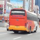 미소항공여행사 이미지