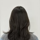 서초대로58길 30 | [오즈헤어] 교대역 미용실 | 오즈 서초교대점| 퍼스널컬러 염색 후기