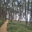 송림2리 이미지