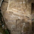 토성농장 이미지