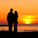 대신국제여행사 이미지